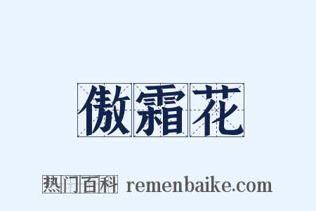 傲霜花是什么意思的图片